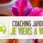 Coaching Jardin BIO, Je viens à vous !