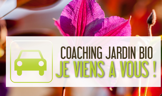 Coaching Jardin BIO, Je viens à vous !