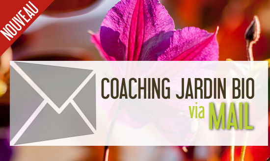 Coaching Jardin Bio via Mail