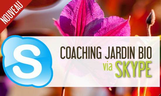 Coaching Jardin BIO en vidéo-conférence