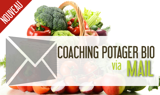Coaching Potager BIO via Mail