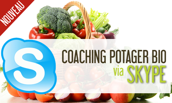 Coaching Potager BIO en vidéo-conférence