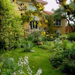 Je crée votre jardin biologique