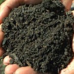Comment nourrir le sol de votre jardin naturellement ? Le compost !
