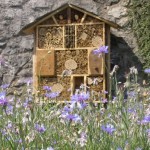 Construisez votre HÔTEL A INSECTES !