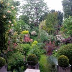 Visitez le jardin de Fernanda Voulgaropoulos