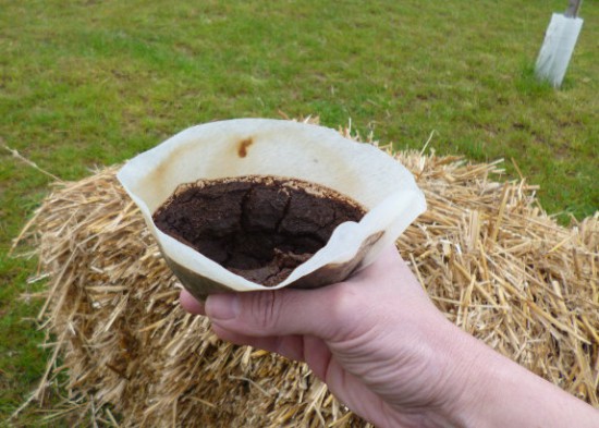 Nourrissez vos plantes avec le marc de café !