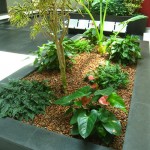 Le paillage : du sarrasin, des amandes, des noix, des noisettes… et des scoubidous !!!