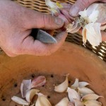 Un traitement naturel des plantes : La recette du traitement au Purin, ail et laurier