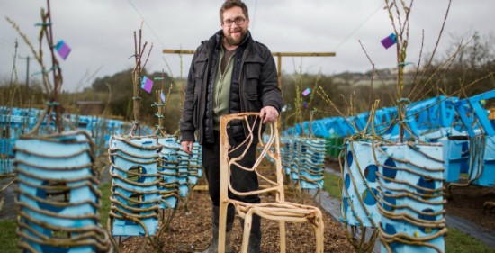 [INSOLITE] Il cultive et produit des chaises ! Oui, vous avez bien lu !