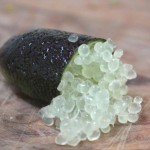 Le Citron Caviar, un agrume chic et insolite, rare et très tendance…