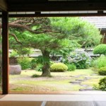 En Feng-Shui, le numéro de votre maison, et donc de votre jardin, n’est pas un hasard…