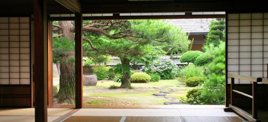 En Feng-Shui, le numéro de votre maison, et donc de votre jardin, n’est pas un hasard...