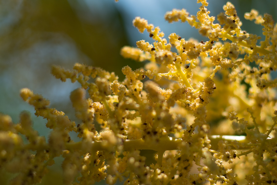 Actions Jardin - La permaculture pour tous ! - Les Doigts Fleuris