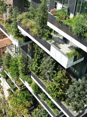 Ecologie - projet écologique, un hectare de forêt planté sur deux tours à milan - Les Doigts Fleuris