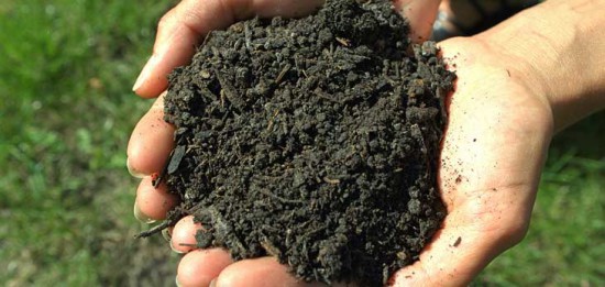 Astuce jardin - Le compost - Les Doigts Fleuris