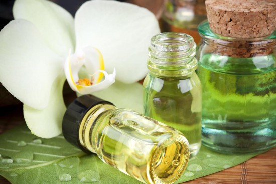 Soigner les plantes du jardin et du potager par les huiles essentielles - Les doigts fleuris