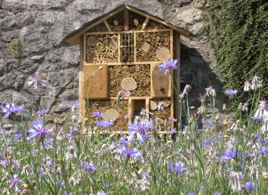 Astuces jardin en hiver - Hotel à insectes - Les Doigts Fleuris