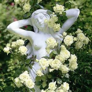 Carnet de tendance - roses  alcazar - Les Doigts Fleuris