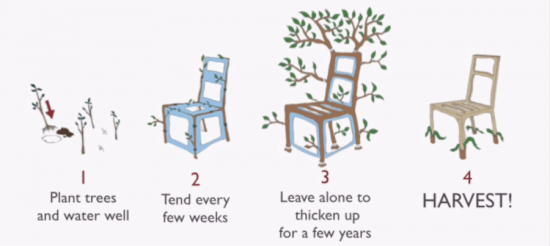 Il cultive et produit des chaises ! Oui, vous avez bien lu ! - Les Doigts Fleuris