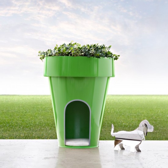 La niche qpot de fleur pour le chien ! - blog jardin