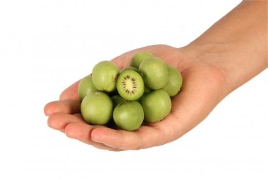 Un kiwi riquiqui mais costaud à découvrir ! - Les doigts fleuris