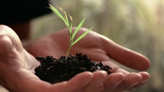  Mettre les mains dans la terre rend heureux et intelligent ! - Les doigts Fleuris