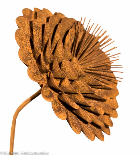 Scupture Marigold en fer rouille - Les Doigts Fleuris