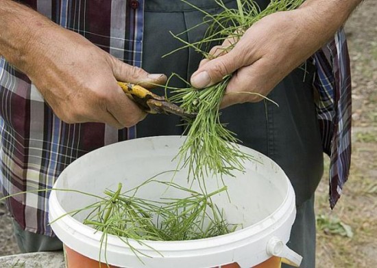 Des traitements naturels - Les Doigts Fleuris