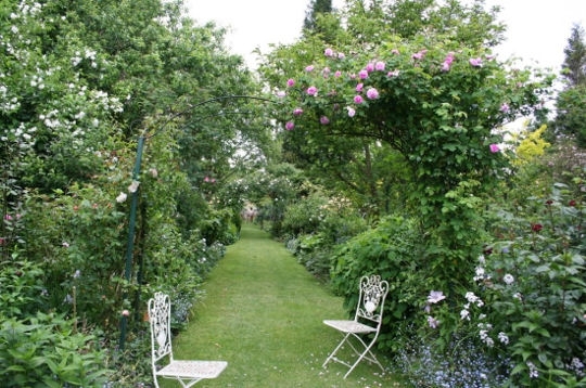 DES COULEURS AU JARDIN, OUI ! MAIS ATTENTION AUX ASSOCIATIONS ! - Les Doigts Fleuris