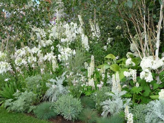 DES COULEURS AU JARDIN, OUI ! MAIS ATTENTION AUX ASSOCIATIONS ! - Les Doigts Fleuris