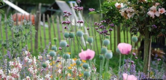 Brèves de jardin - Les Doigts Fleuris