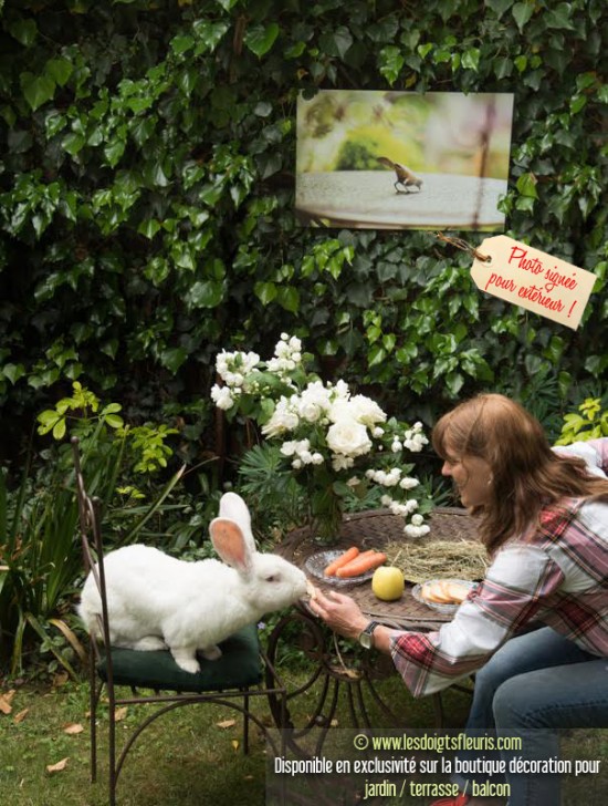 Le petit déjeuner de Bobby de la Biscotte, lapin des Flandres - Les Doigts Fleuris