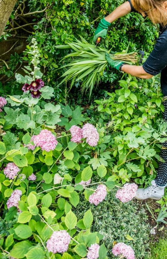 Le paillage au jardin - Les Doigts Fleuris