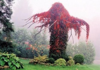 Arbre d'épouvante pour Halloween - Les Doigts Fleuris