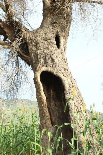 Arbre d'épouvante pour Halloween - Les Doigts Fleuris