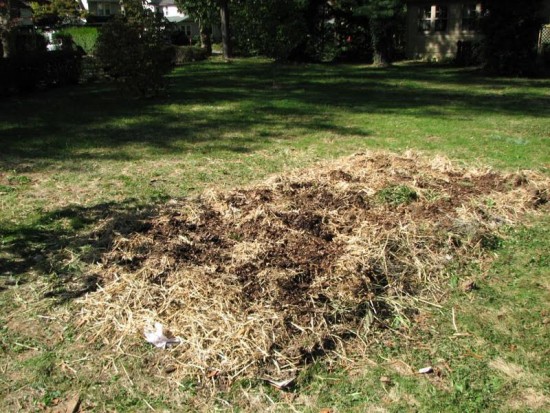 Défricher un coin de pelouse - Les Doigts Fleuris