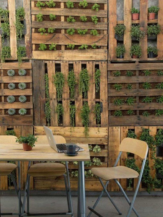 Un mur végétal fait maison et à moindre frais en palettes de bois - blog jardin
