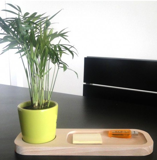 le top 10 de ces plantes qui diffusent de l’énergie positive - Les Doigts Fleuris