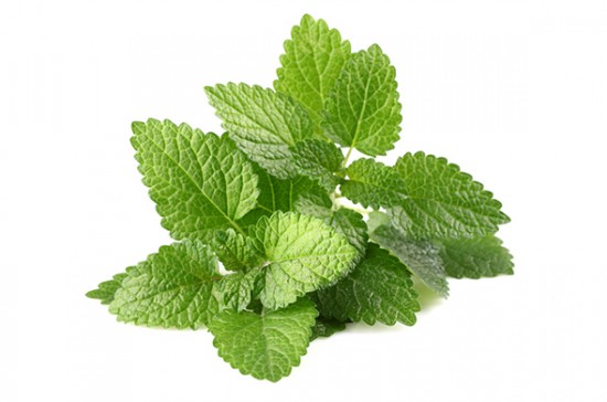 La menthe - ces plantes qui diffusent de l’énergie positive - Les Doigts Fleuris