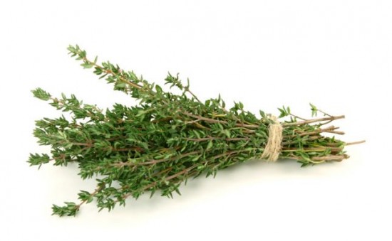 Le thym - ces plantes qui diffusent de l’énergie positive - Les Doigts Fleuris