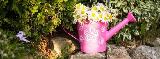 Des brèves de jardin: Reverdir vos plantes, empêcher vos hortensias bleues de virer au rose, vous débarrasser des douloureuses épines de cactus et garder l’eau propre d’un récupérateur d’eau de pluie... - Les Doigts Fleuris