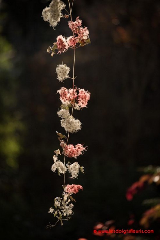 Guirlande de Noël argentée et rouge en Clématite Sauvage - Les Doigts Fleuris