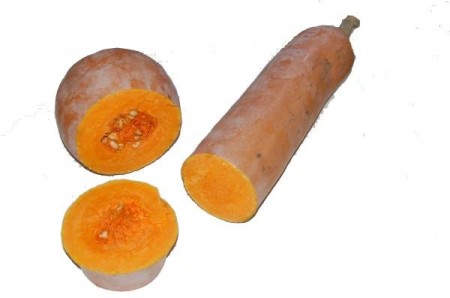 courge-longue-de-nice