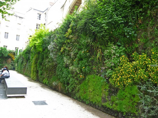 le mur végétal pour jardin et l'intérieur