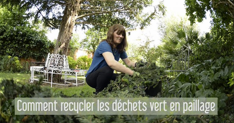 Recyclage Des Déchets Vert En Paillage